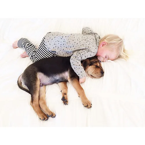 11439139695 78e7d0855c