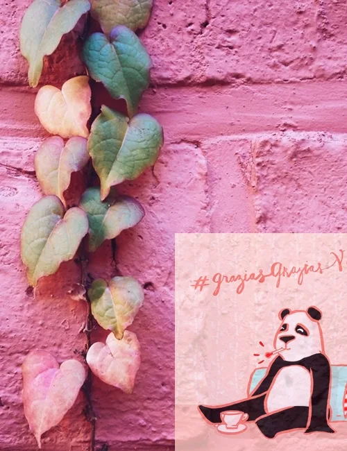 Processed with VSCOcam with a5 preset