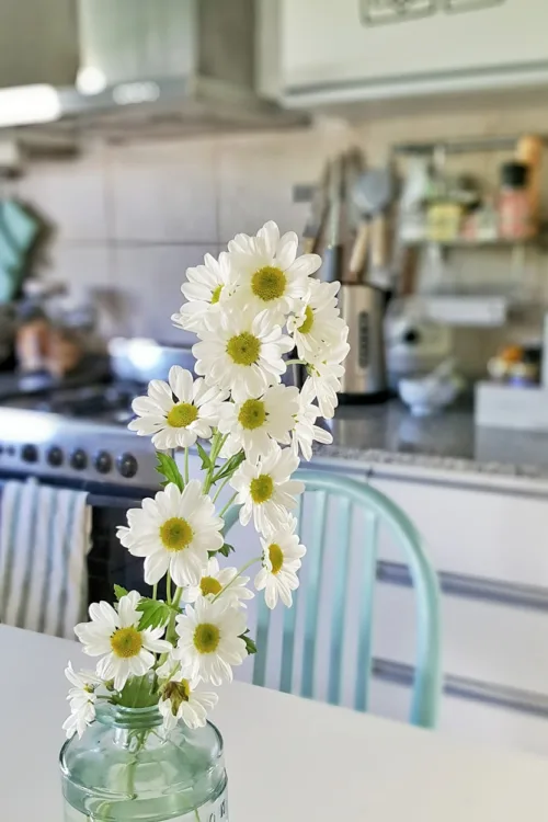 IMG 20170330 103719 834