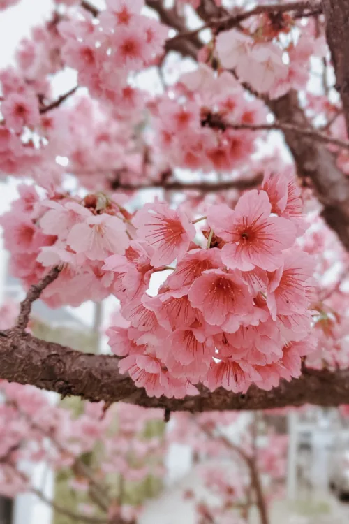 20210724 163010252812529