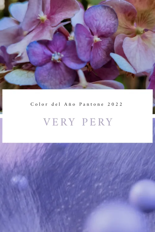 mgfi 72faf718 9e56 41bd b58e 0a98f5382d94