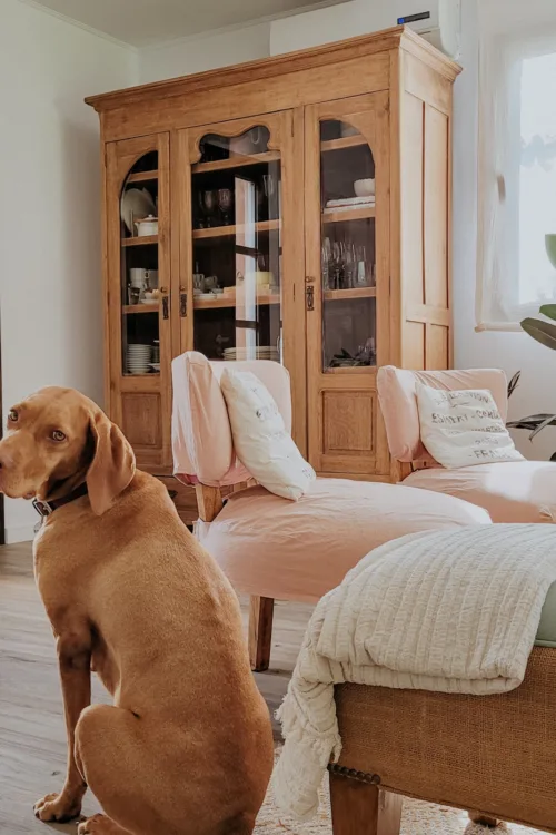 mgfi 0847d377 2738 4dff ac34 04d0723000ce