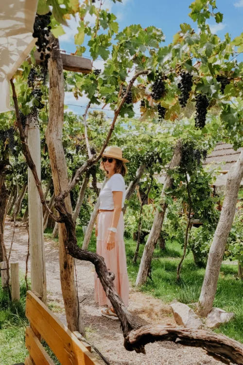 mgfi f1ae83a9 a492 45c5 ad02 2530808e72dc