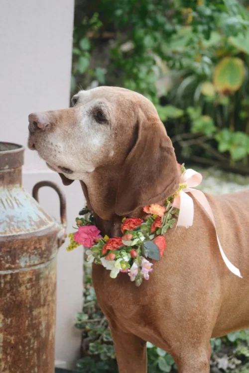 2019 06 272007.53.46201