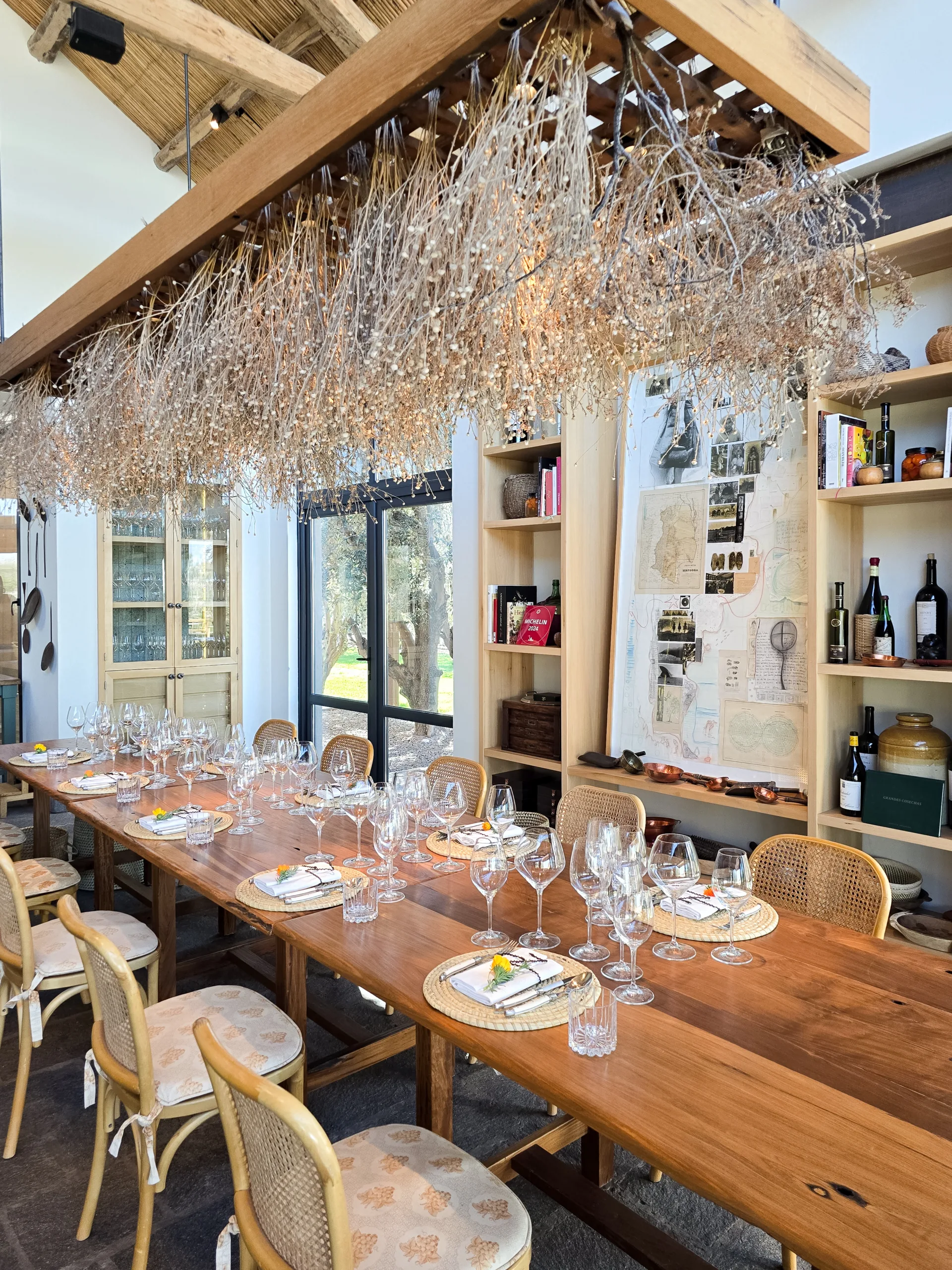 Mendoza - Zonda Lagarde - Vero Palazzo