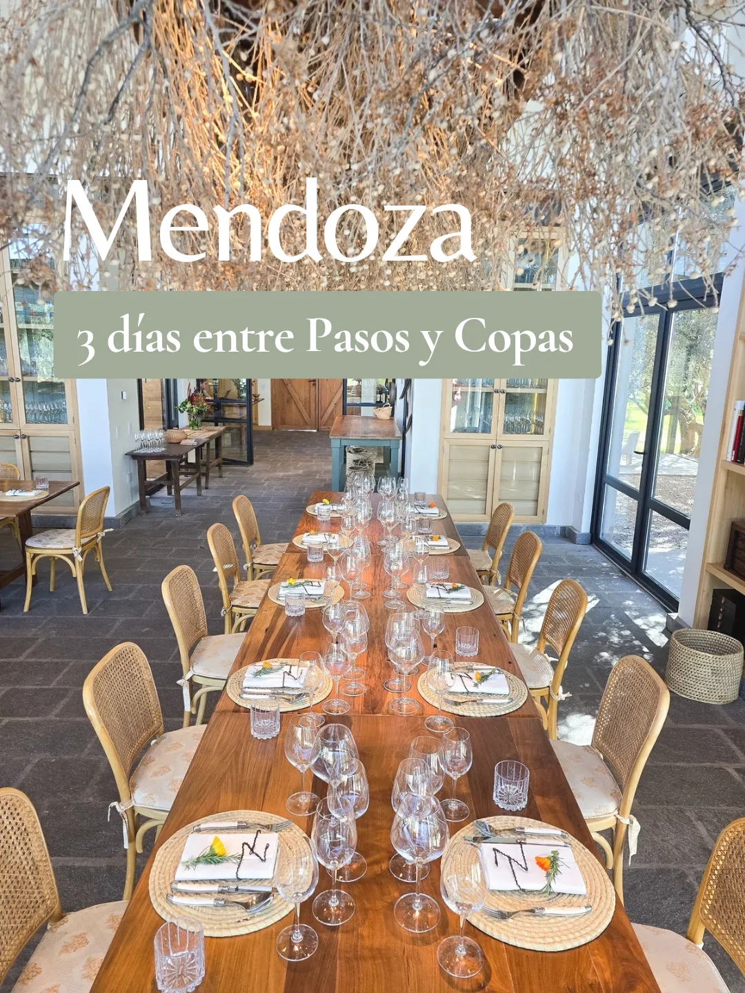 Tres días en Mendoza