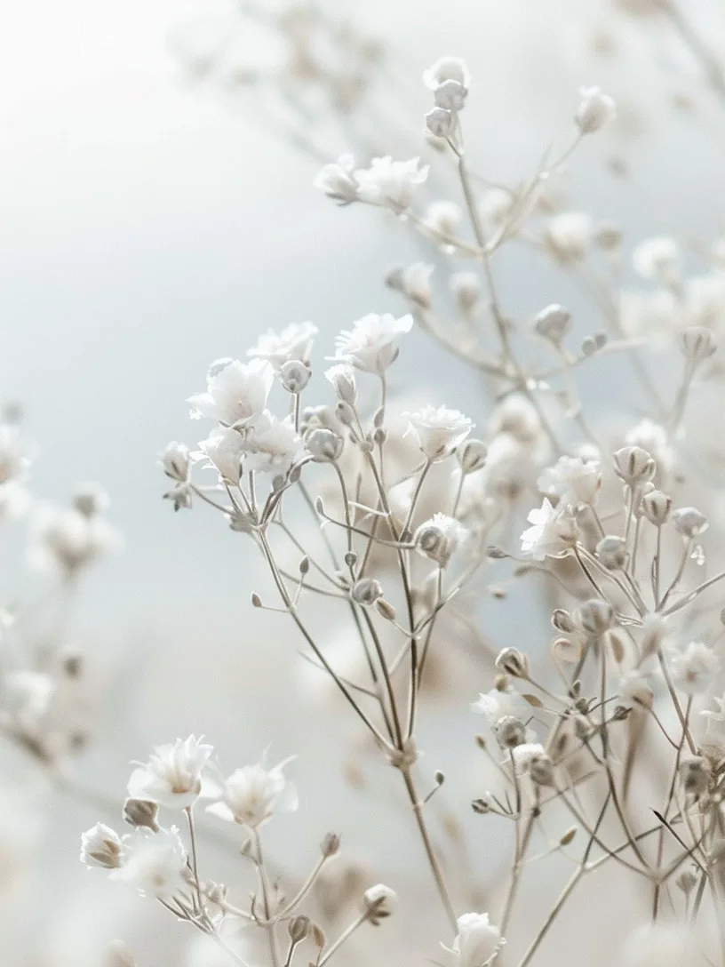 Veropalazzo a meadow with minimalist floral elements and soft bc849015 fa40 4034 8db5 28239a241b0f