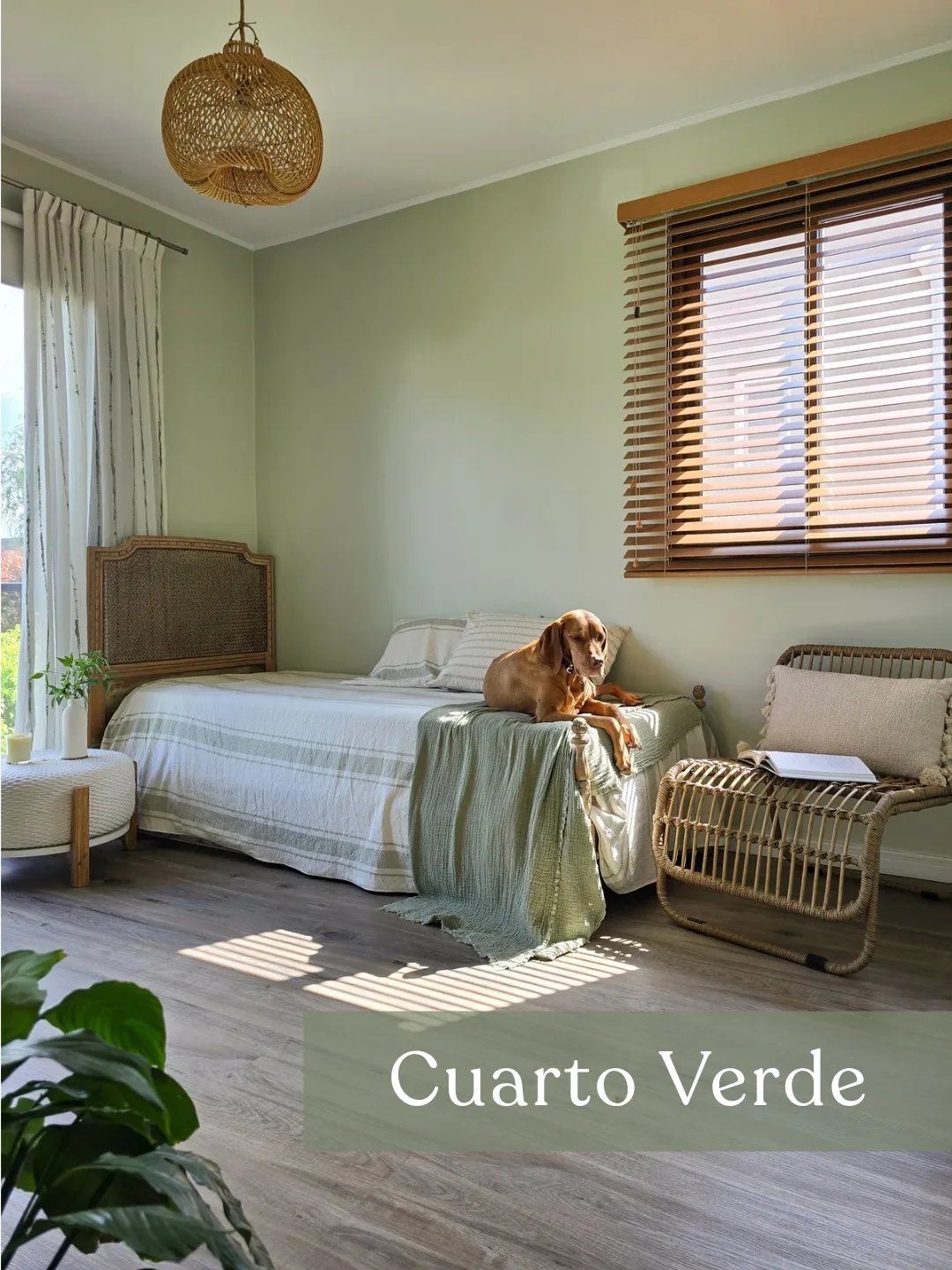 VP IG Vertical 3 4 20260420 161943