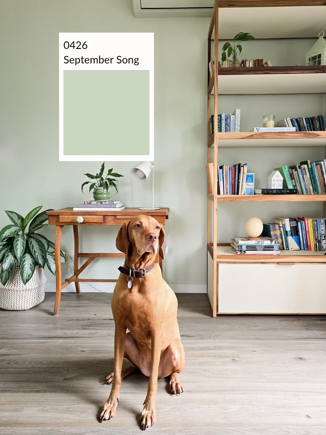 VP IG Vertical 3 4 20260420 161943